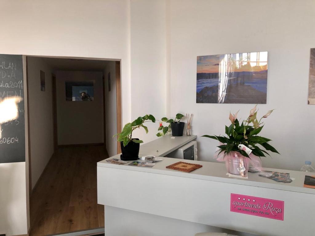 Apartmani Roza PUY Eksteriør bilde